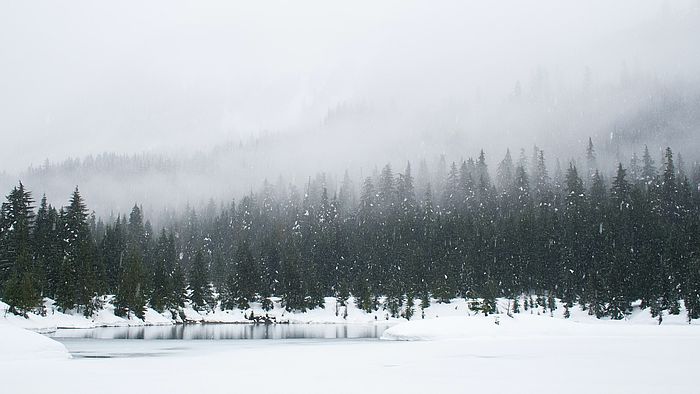 Zeit für die Winter(ein)lagerung - im Lagerraum?