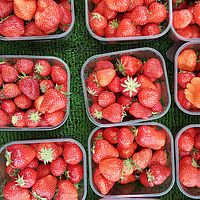 Was sollte auf keinen Fall in ein Lager?