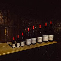 Wein einlagern - so geht's richtig