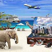 Hausstand bei einer Weltreise im günstigen Lagerraum Zürich einlagern