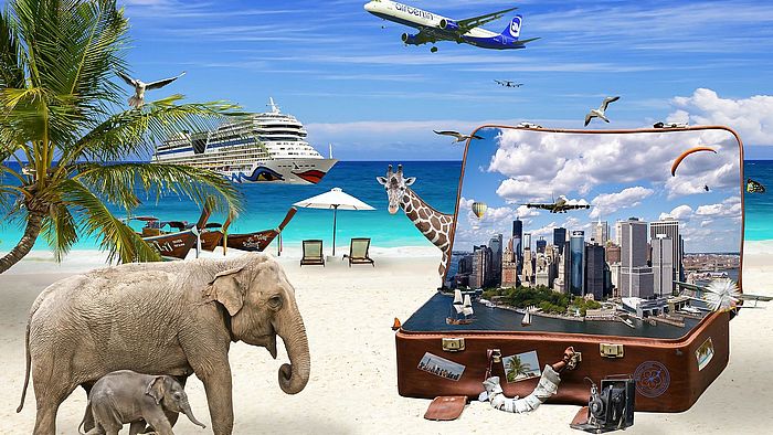 Hausstand bei einer Weltreise im günstigen Lagerraum Zürich einlagern